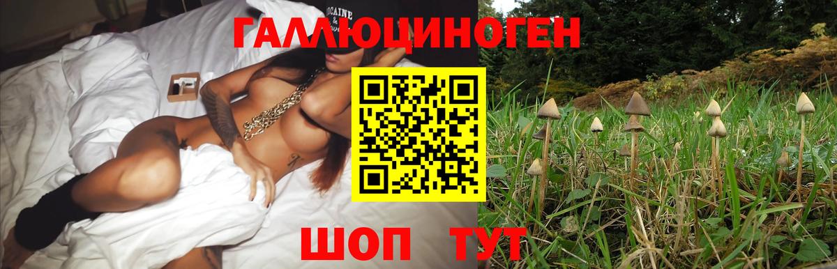 Псилоцибиновые грибы мицелий Мегион